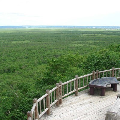 釧路湿原チョットのたび (普通車) 釧路湿原 釧路市 旅行 トラベル F4F-7961