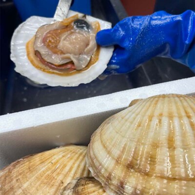 【冷蔵便でお届け!】ホタテの貝柱 オーダー剥き 約200g 魚介類 海鮮 ホタテ F4F-8098