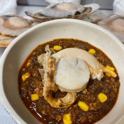 特大ホタテのキーマカレー 2種4袋(230g/1袋) カレー レトルト 簡単調理 F4F-8229