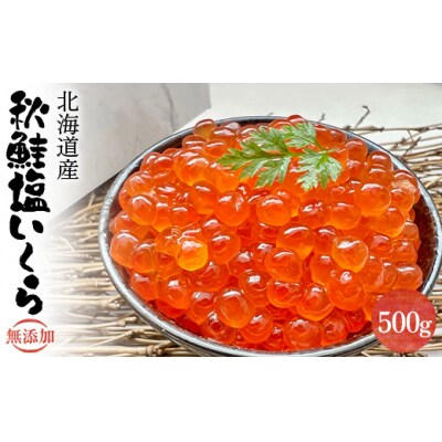 北海道産 秋鮭 塩いくら500g いくら イクラ 魚卵 海鮮 北海道 F4F-2613