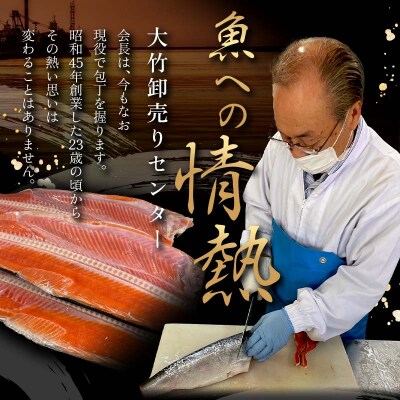 極上塩さんま9尾 3尾ごとの真空保存 さんま 焼き魚 魚 海鮮 鮮魚 北海道 F4F-8103