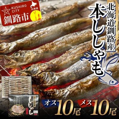 本ししゃも オス10尾・メス10尾 釧路産 本ししゃも 魚 ししゃも F4F-8433