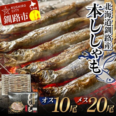 本ししゃも オス10尾・メス20尾 釧路産 本ししゃも 魚 ししゃも F4F-8866