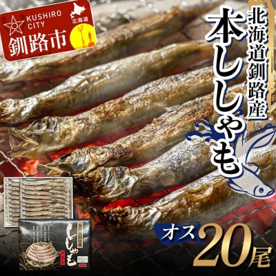 本ししゃも オス20尾 釧路産 本ししゃも 魚 ししゃも 魚好きのオス 魚介 F4F-8867