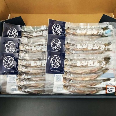 レンちん君釧路産本しゃもオス30尾セット シシャモ 冷凍 魚 海産物 一夜干し F4F-8445