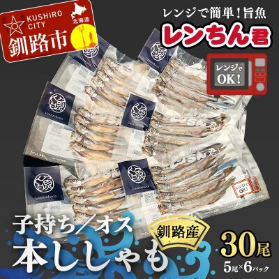 レンちん君釧路産本ししゃもセット シシャモ 冷凍 魚 海産物 一夜干し 北海道 F4F-8446