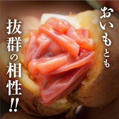 笹谷商店 いか塩辛 釧路港130g【4個セット】 F4F-8401