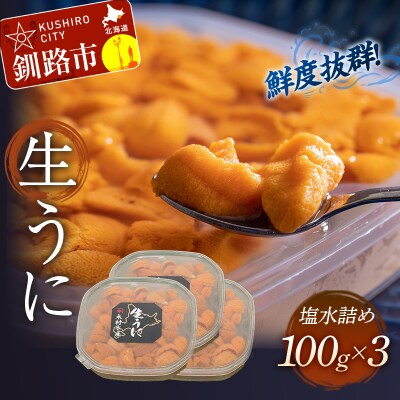 生えぞバフンうに塩水詰め100g×3 F4F-3214