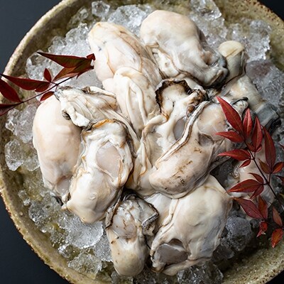 【ぷりっぷりで濃厚!剥きたて発送!!】釧路管内産・剥き牡蠣500g×2 かき 牡蠣 F4F-0623