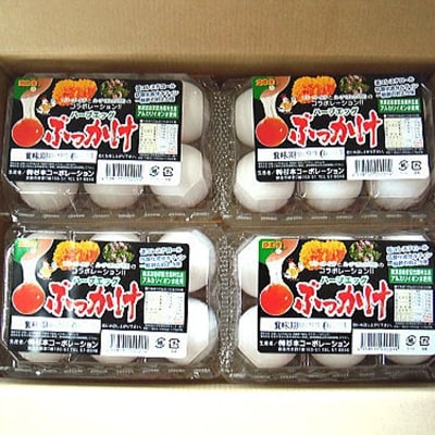 無添加ハーブエッグぶっかけ究極のTkg産みたて新鮮タマゴ ふるさと納税 卵 F4F-0797