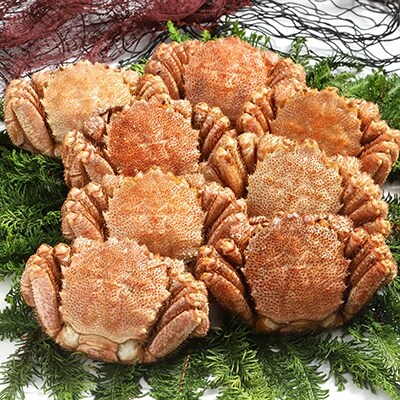 【浜茹で!】ボイル毛ガニ3.2kg 詰め(冷凍)8尾入り ふるさと納税 かに 蟹 F4F-5468