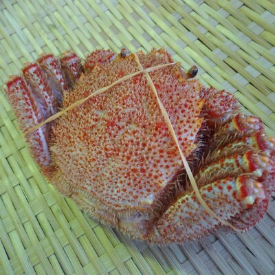 えぞバフンうに折60g ボイル毛がに380～400g F4F-5330