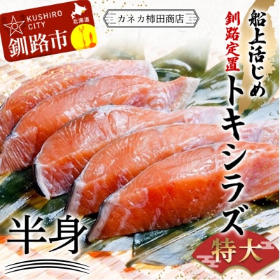 船上活じめ 釧路 定置 トキシラズ の 半身 ふるさと納税 鮭 サケ 魚 F4F-8389