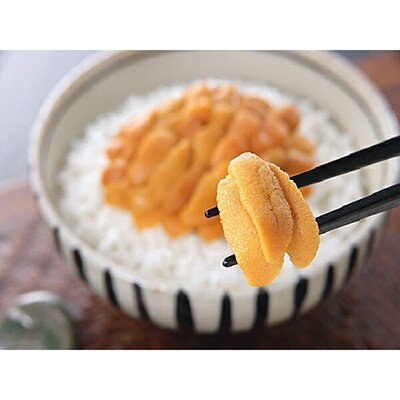 【北海道産・贈答用】えぞバフンうに(塩水詰め)100g ふるさと納税 うに 海鮮丼 F4F-0570