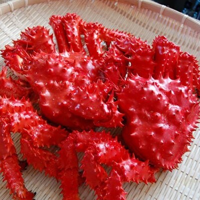 ボイル花咲蟹 2尾 1.1～1.2kg ふるさと納税 かに 蟹 F4F-3388