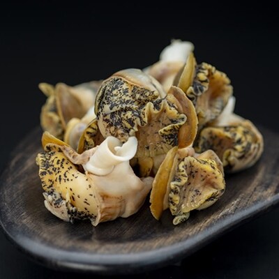 やわらか灯台ツブ(ボイルむき身) 1.0kg ふるさと納税 つぶ 貝 F4F-7769