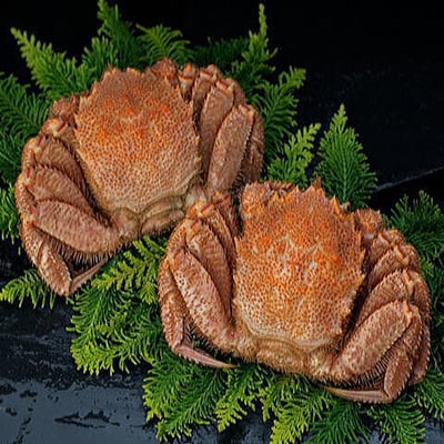 北海道産ボイル毛がに 2尾 1.0kg ふるさと納税 蟹 F4F-0691