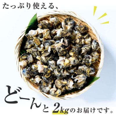 煮つぶ 1kg×2袋 ふるさと納税 つぶ 貝類 F4F-4663