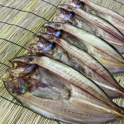 釧路産・開き真ホッケ5枚 魚 魚介 海産物 干物 おかず 肴 ふるさと納税 ほっけ F4F-8606