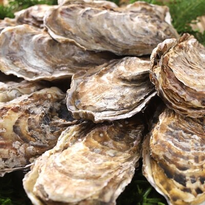 釧路 福司酒造・北海道米使用の日本酒 海霧と牡蠣(中)10個のセット 酒 牡蠣 F4F-5288