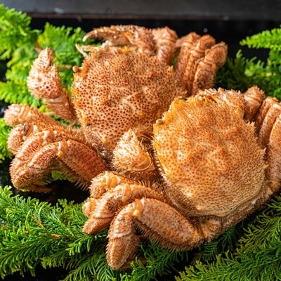 ボイル毛がに(浜茹で急速冷凍)2尾入(2尾で1.2kg～1.4kg) 蟹 F4F-0448