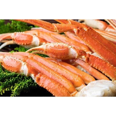 大型厳選ボイルずわいがに脚3.0kg詰め ふるさと納税 かに 蟹 F4F-0458