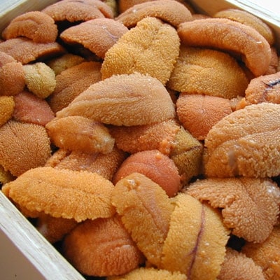 特選!! うにイクラパーティーセット F4F-8686