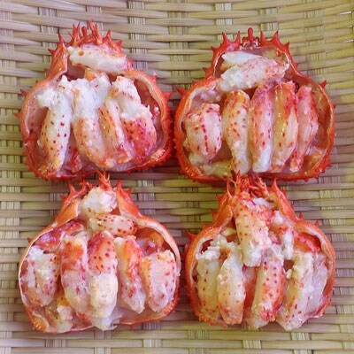 花咲甲羅盛りセット65g×4 ふるさと納税 かに 蟹 F4F-0685