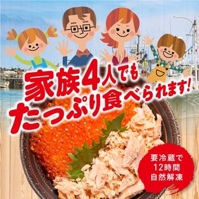 新物 【北海道産】いくら醤油漬け500g×1箱 いくら F4F-8916