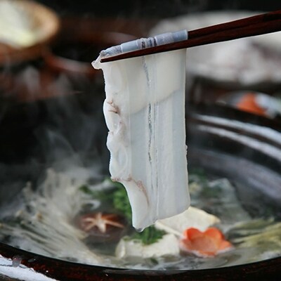 【まかない用】北海道産たこしゃぶ500g【無添加タレ】3個入 ふるさと納税 たこ F4F-3410