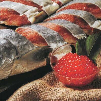 【北海道産】 新巻鮭本漬切身・いくら醤油漬セット ふるさと納税 魚 いくら F4F-1093