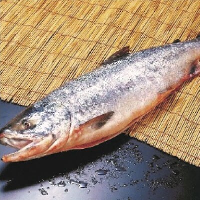 【北海道産】 新巻鮭本漬切身・いくら醤油漬セット ふるさと納税 魚 いくら F4F-1093