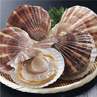 【北海道から直送!!】殻付活ホタテ貝(2.0kg詰)5～10枚入 ほたて F5F-0121