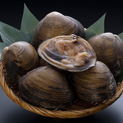 【天然!!】活北寄貝1.0kg前後 ふるさと納税 北寄 F4F-0349