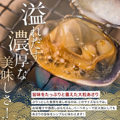 砂出し済 大粒の天然あさり2kg ふるさと納税 貝 F4F-0384