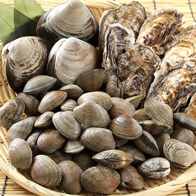 北海道産 旬の貝づくしセット ふるさと納税 かき 貝 F4F-0673