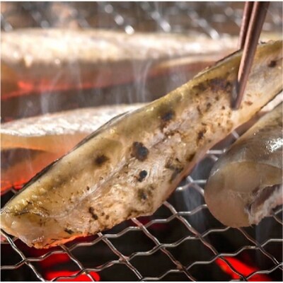 【北海道産】 生干し こまい 1kg×2箱 ふるさと納税 魚 F4F-0306