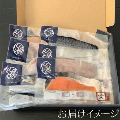 【6枚セット】レンジで楽ちん!本格旨魚!レンちん君! ふるさと納税 魚 F4F-4296