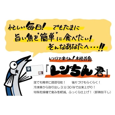 【6枚セット】レンジで楽ちん!本格旨魚!レンちん君! ふるさと納税 魚 F4F-4296