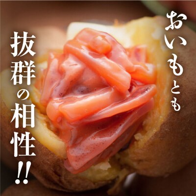 笹谷商店 いか塩辛 釧路港130g【6個セット】 F4F-8402