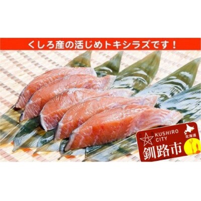 船上活じめ 釧路定置 時鮭(ときしらず・時さけ)半身 小 約600g 北海道産 F4F-1557