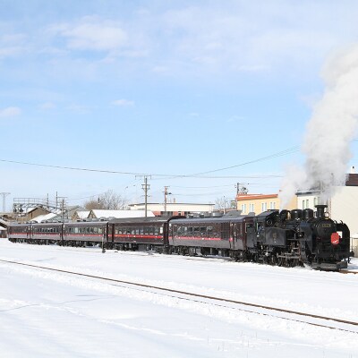 【期間限定】SL冬の湿原号釧路駅～標茶駅間の往復乗車券(指定席)(1名様分) F4F-1853
