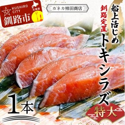新もの 船上活じめ 釧路 定置 トキシラズ 1本 ふるさと納税 鮭 サケ 魚 F4F-8390