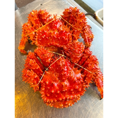 【茹でたて未冷凍】北海道産・ボイル花咲蟹2尾で1.0～1.2kg 花咲 釧路 海鮮 F4F-4789