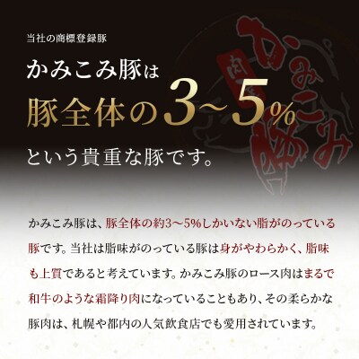 かみこみ豚の豚丼 80g×5枚×3パック 計15枚 合計 1.2kg 豚肉 豚丼 F4F-2298