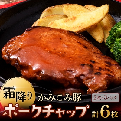 かみこみ豚のポークチャップ 200g×2枚×3パック 計6枚 合計1.2kg F4F-2350