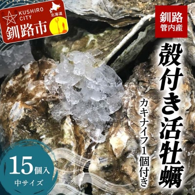 釧路管内産!殻付き活牡蠣【中】15個 F4F-2987