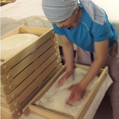 出雲大社御神酒 八千矛セット(純米大吟醸・純米吟醸)