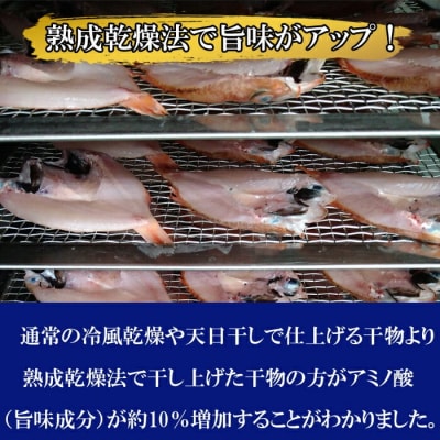 海の幸干物セット　B【1-009】