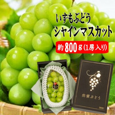 【2026年8月中旬以降発送】いずもぶどう　シャインマスカット(800g見当)【2-039】